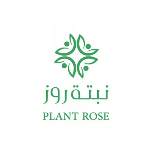 نبتة روز
